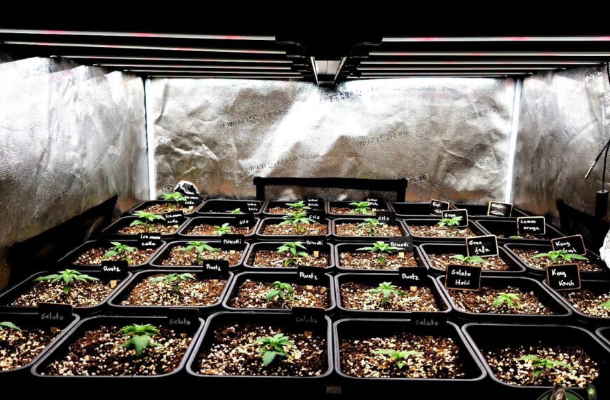 Merlin – Season 1, Day 9