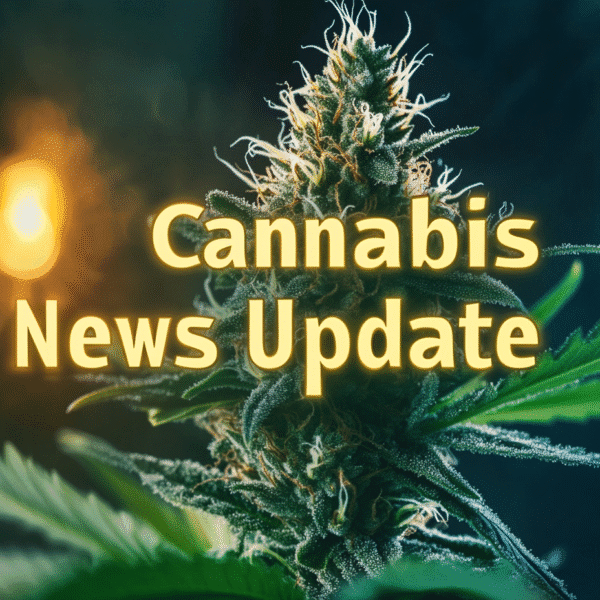 August 15 Cannabis News Update